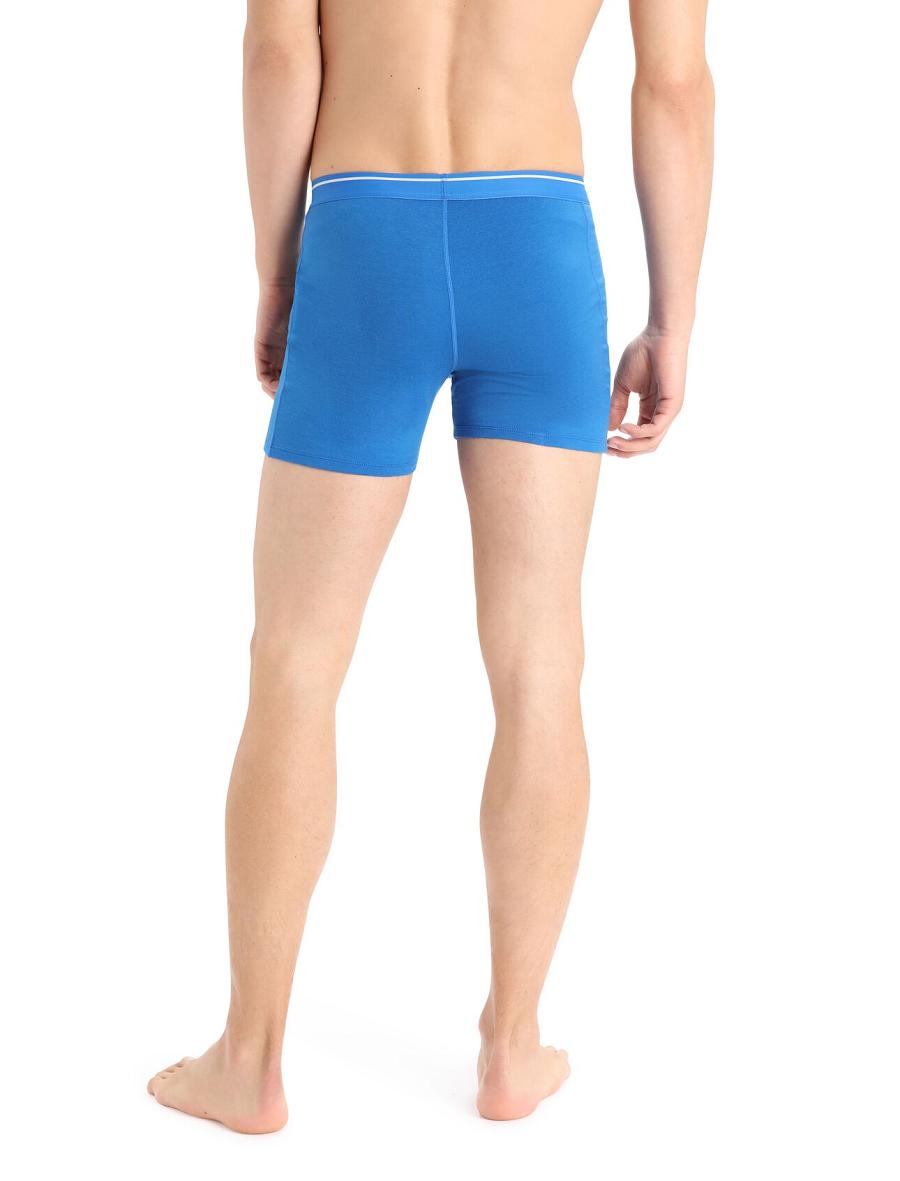 Lazurite Men's Icebreaker Merino Anatomica Boxers Underwear | USA 1311TCEV